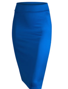 The Collection Pencil Skirt